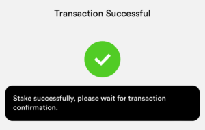Sign the staking transaction